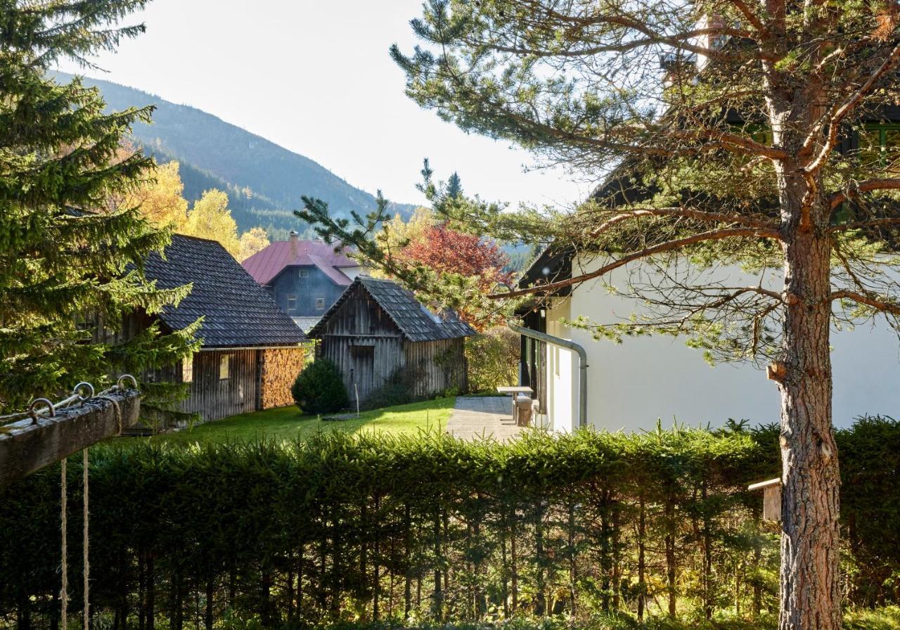 Chalet Frein - Wildalm Frein an der Murz